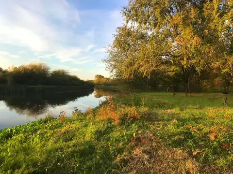 Terreno en Venta en Pavon, Constitución