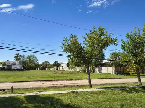 Terreno en Venta en Luis Palacios, San Lorenzo