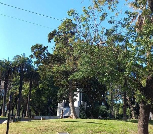 Departamento · 40m² · 1 Ambiente