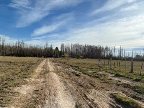 Terreno en Venta en General Fernández Oro, General Roca