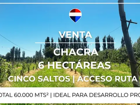 Campo en Venta en Cinco Saltos, General Roca
