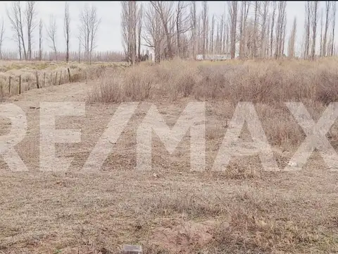 Campo en Venta en Catriel, General Roca