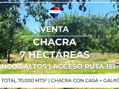 Campo en Venta en Cinco Saltos, General Roca