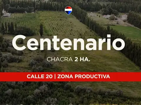 Campo en Venta en Centenario, Confluencia