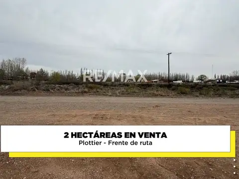 Campo en Venta en Plottier, Confluencia