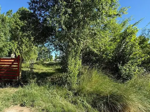 Terreno en Venta en Plottier, Confluencia