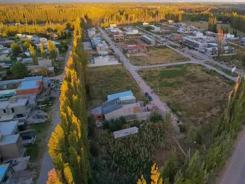 Terreno en Venta en Centenario, Confluencia