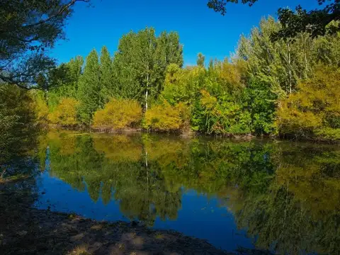 Terreno en Venta en Plottier, Confluencia