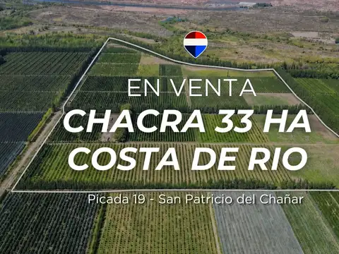 Campo en Venta en San Patricio del Chañar, Añelo