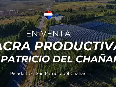 Campo en Venta en San Patricio del Chañar, Añelo