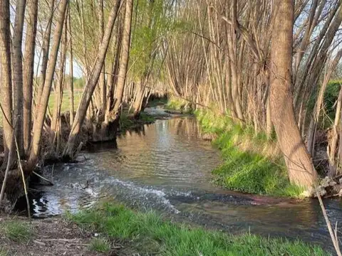 Terreno en Venta en Colonia las Rosas, Tunuyán