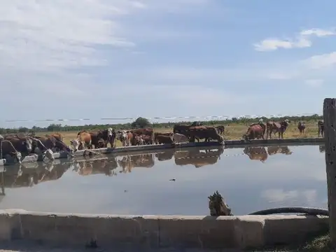 Campo en Venta en Huanqueros, San Cristóbal