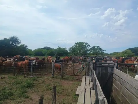 Campo en Venta en San Javier, Santa Fe