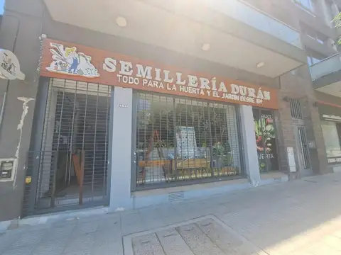 Local en Alquiler en Villa Ortuzar, Capital Federal