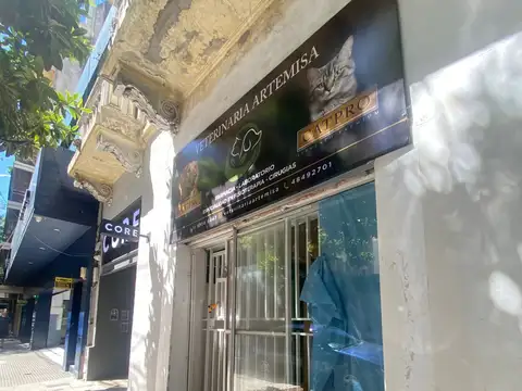 Local en Alquiler en Las Cañitas, Palermo
