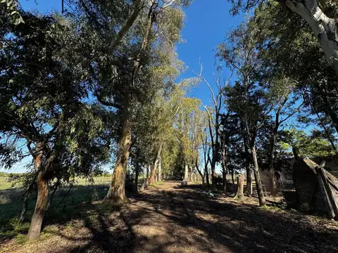 Campo en Venta en Marcos Paz, Partido de Marcos Paz
