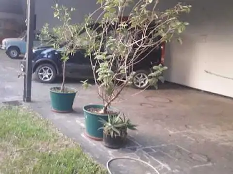 Casa en Venta en Haedo, Partido de Morón