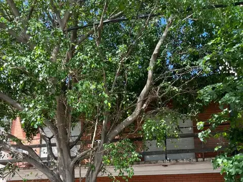 Negocio especial en Venta en Floresta, Capital Federal