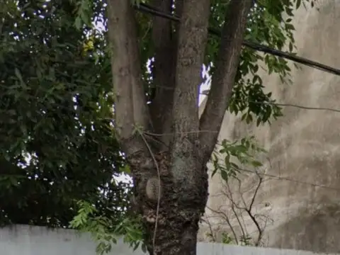 Terreno en Venta en Villa Devoto, Capital Federal