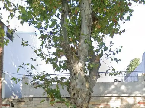 Terreno en Venta en Parque Chas, Capital Federal