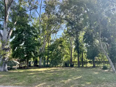 Terreno en Venta en Benavidez, Partido de Tigre
