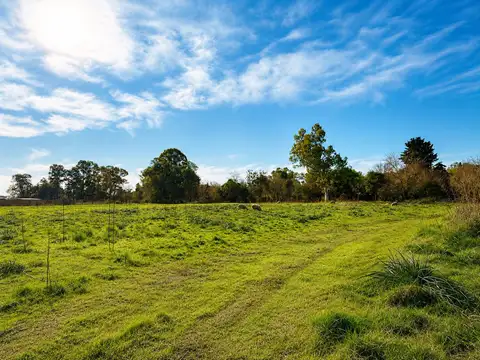 Terreno en Venta en Virrey del Pino, Partido de La Matanza