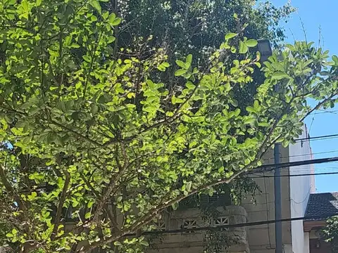 Local en Venta en San Cristobal, Capital Federal