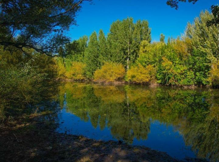 Terreno · 489m²