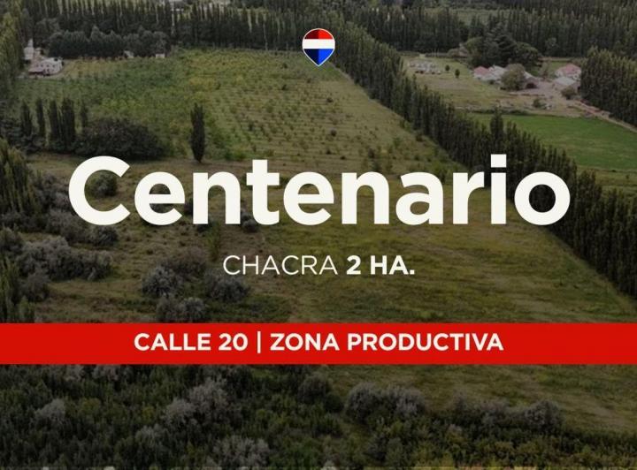 Campo · 3ha