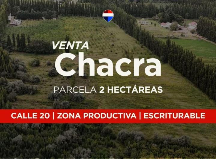 Campo · 3ha