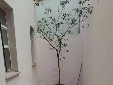 PH en Venta en Almagro, Capital Federal