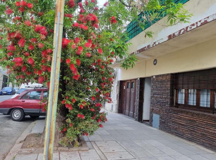 Casa · 231m² · 5 Ambientes · 1 Cochera