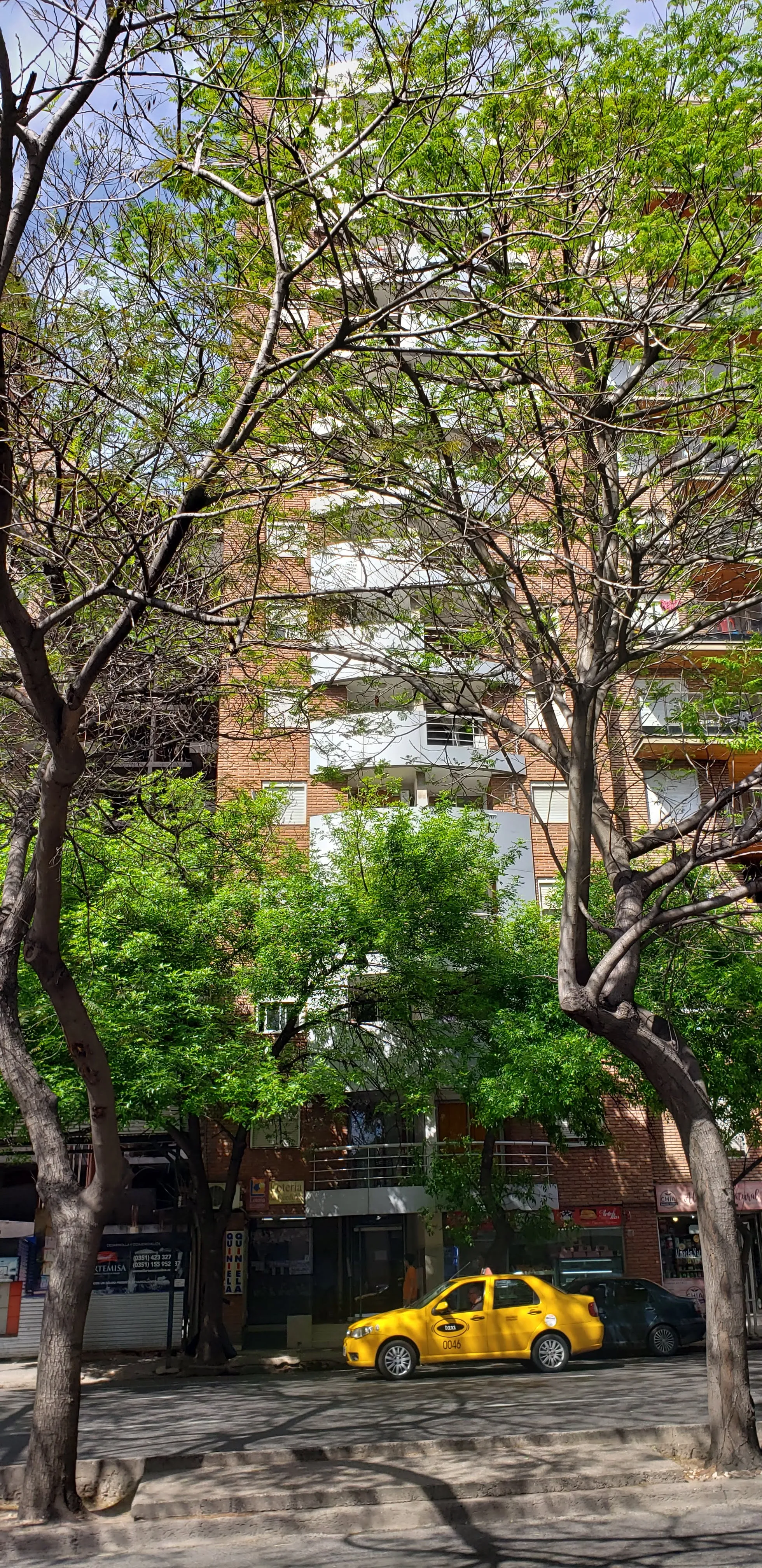 DUEÑA -NUEVA CORDOBA-UN DORM. C/ BALCON-
