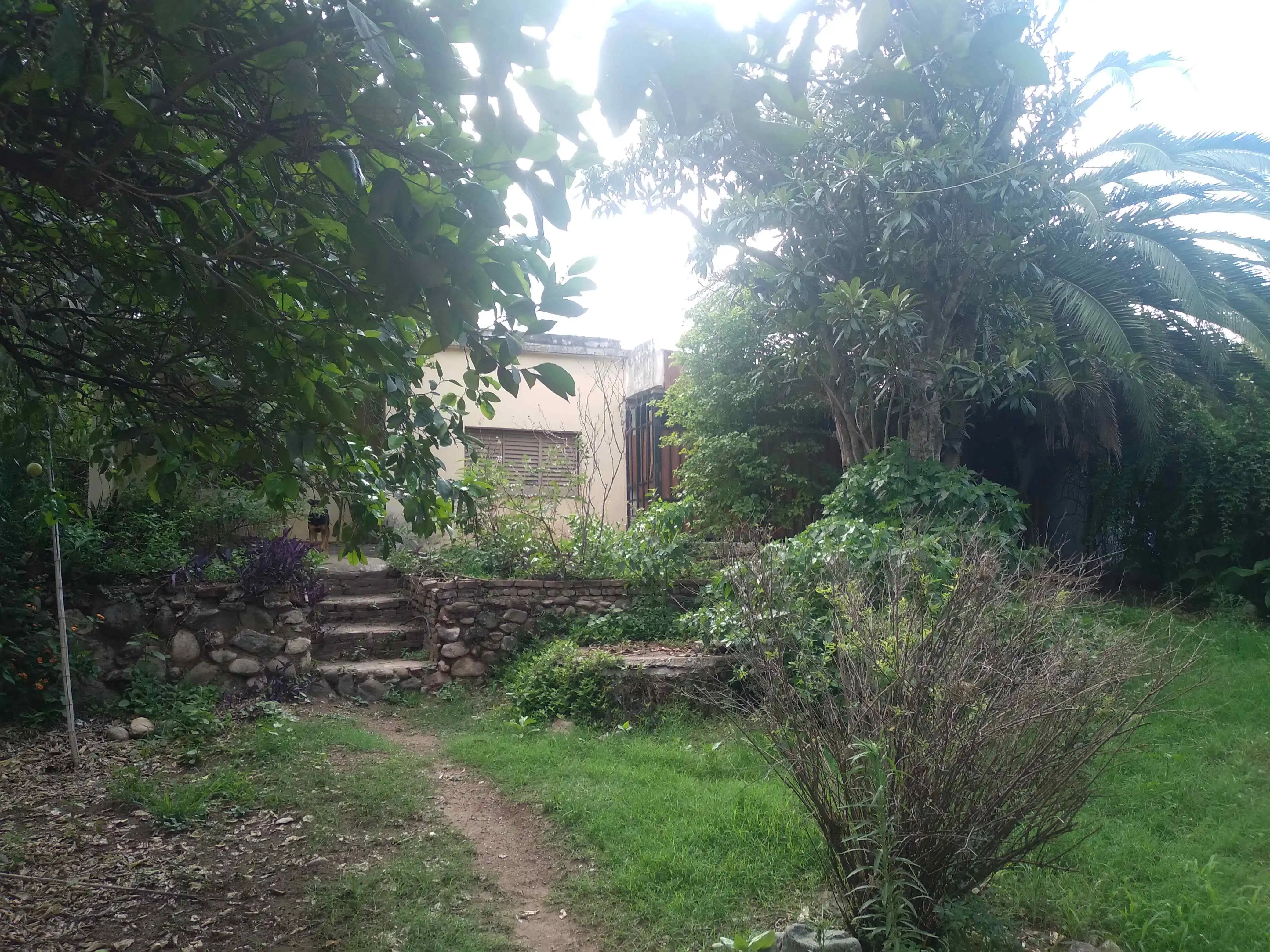 saldan .alquilo casa sencilla 3 dormit