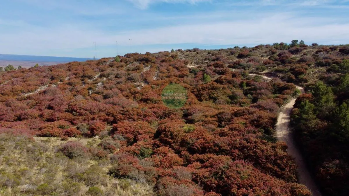 LA CUMBRE - LOTE  6.8 HECTÀREAS - ESCRITURA - LOTE EN VENTA