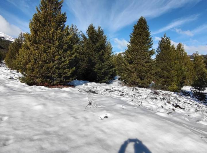 Terreno · 984m²