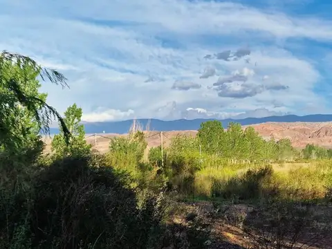 Terreno en Venta en Barreal, Calingasta