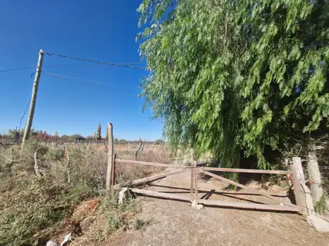Terreno en Venta en Calle Aguileras, Angaco