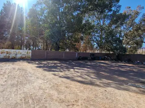 Terreno en Venta en Barreal, Calingasta