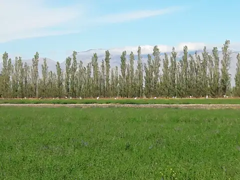Terreno en Venta en El Molino, Rawson