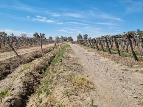 Campo en Venta en Carpintería, Pocito