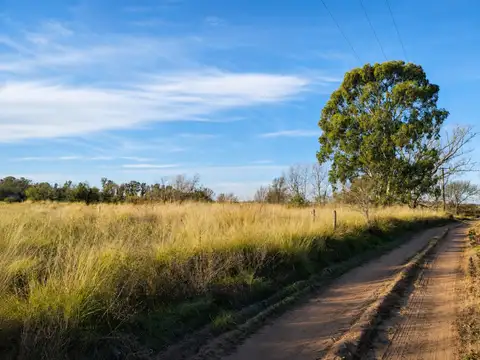Terreno en Venta en Lonquimay, Catriló