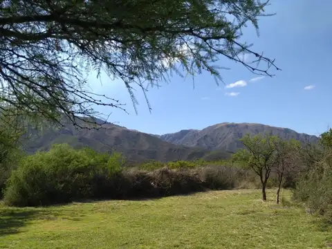 Terreno en Venta en Los Molles, Junín