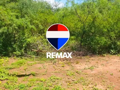 Campo en Venta en Coronel Moldes, La Viña