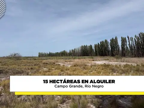 Terreno en Alquiler en Villa Manzano, General Roca