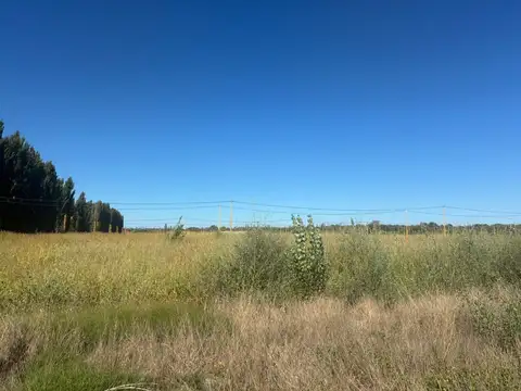 Terreno en Venta en Cervantes, General Roca