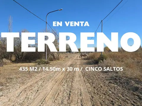 Terreno en Venta en Cinco Saltos, General Roca