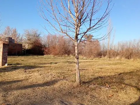 Terreno en Venta en General Roca, Río Negro