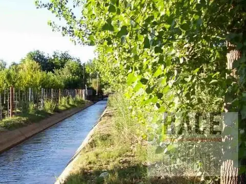 Terreno en Venta en General Roca, Río Negro