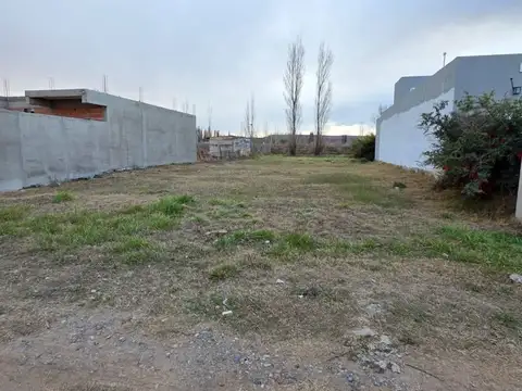 Terreno en Venta en Plottier, Confluencia